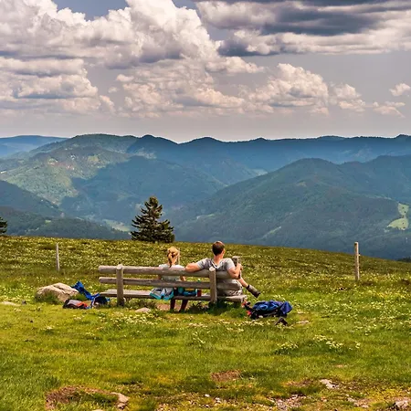 Schwarzwaldliebe Apartamento