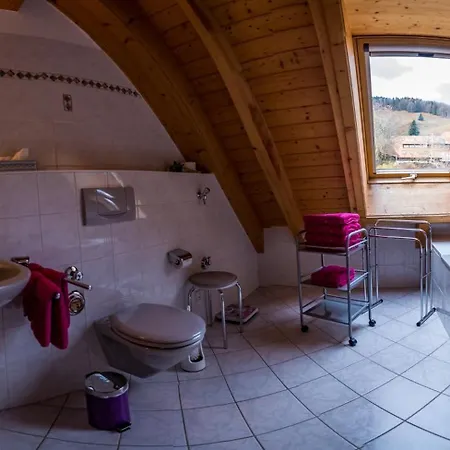 Apartamento Schwarzwaldliebe *