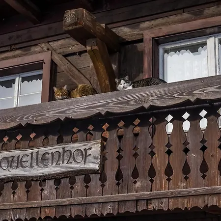 Apartamento Schwarzwaldliebe Frohnd