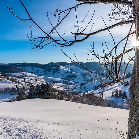 Apartamento Schwarzwaldliebe *