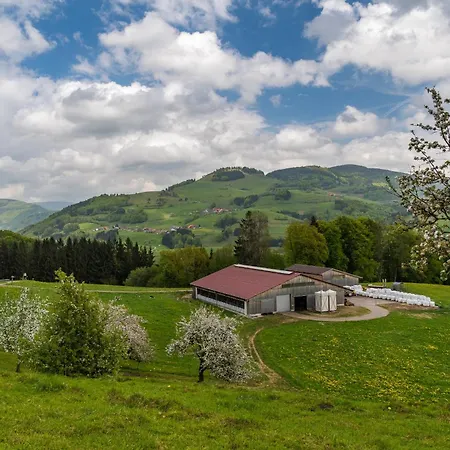 Schwarzwaldliebe Apartamento Frohnd