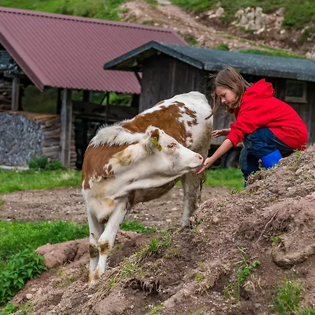 Schwarzwaldliebe Frohnd