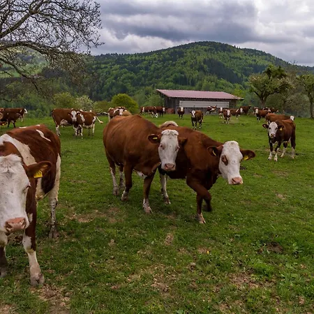 Schwarzwaldliebe Apartamento *