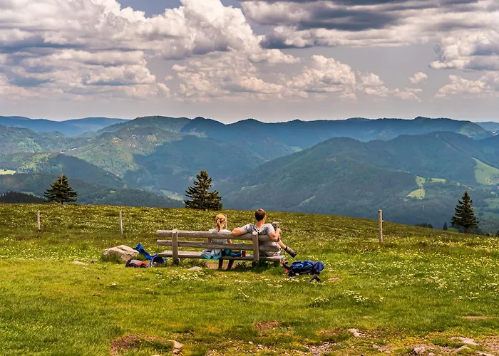 Schwarzwaldliebe 公寓