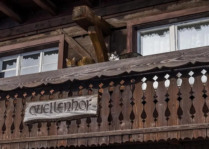 公寓 Schwarzwaldliebe Frohnd