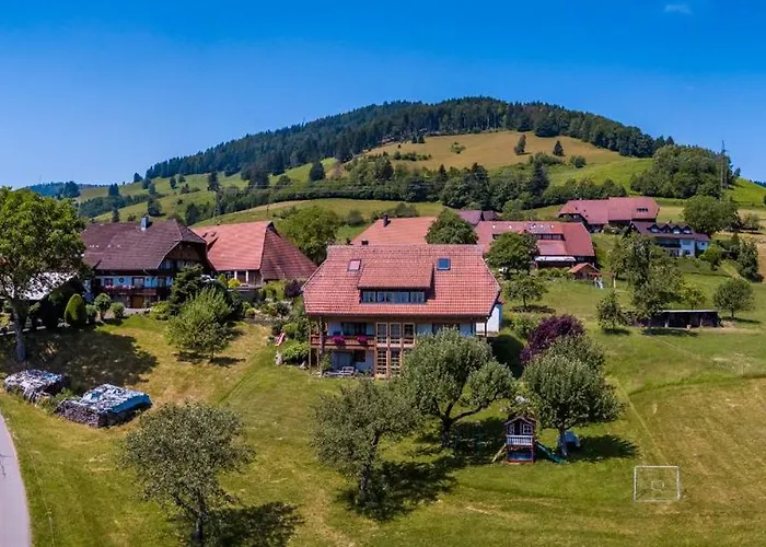 Schwarzwaldliebe 公寓 *