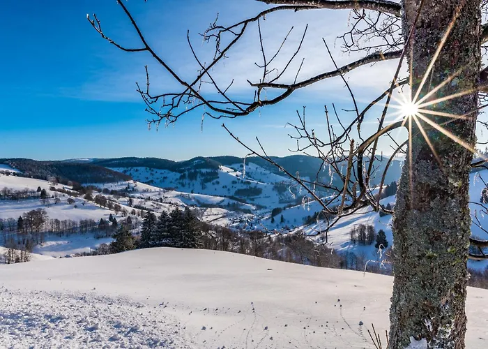 公寓 Schwarzwaldliebe *