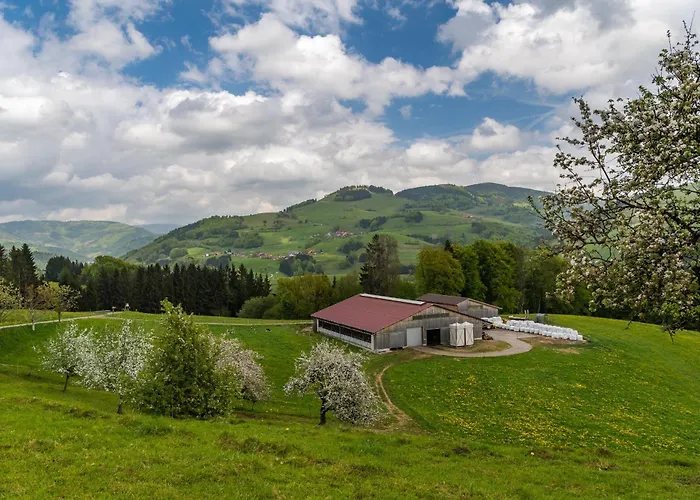 Schwarzwaldliebe アパート Fröhnd