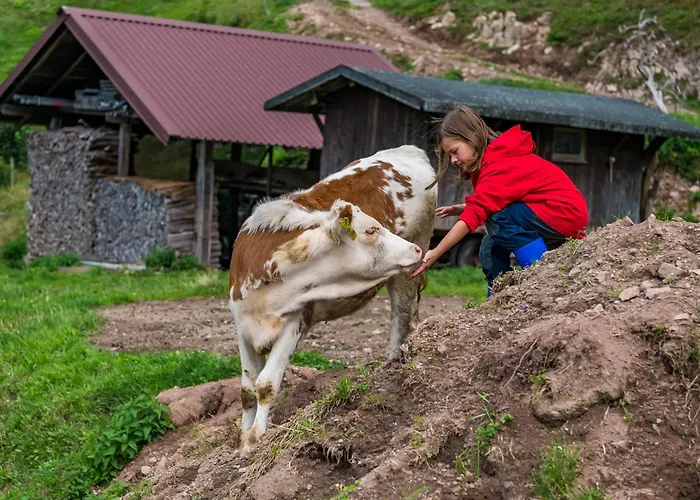 Schwarzwaldliebe Frohnd