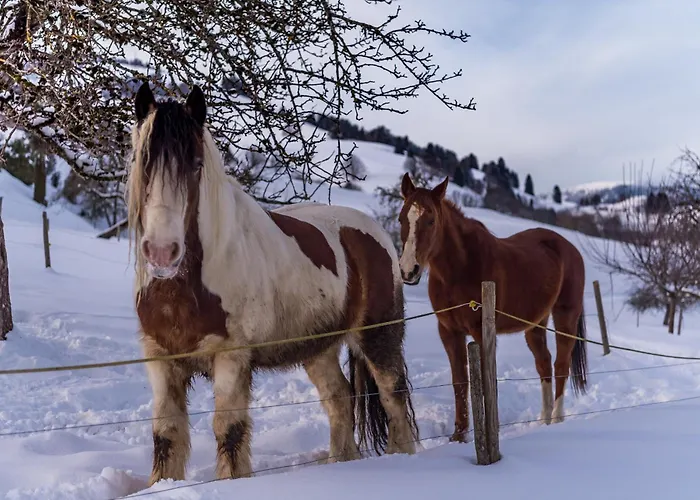 公寓 Schwarzwaldliebe Frohnd