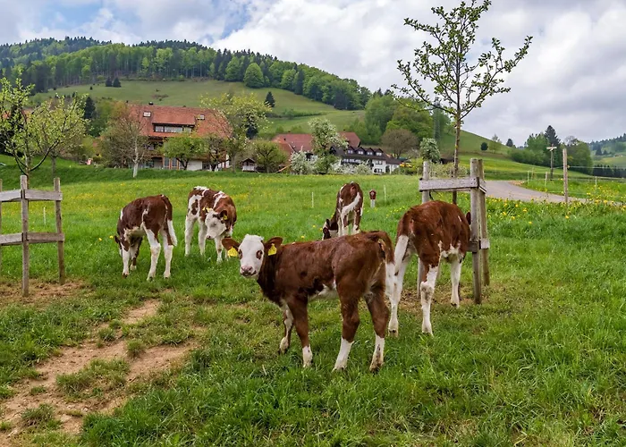 Schwarzwaldliebe Fröhnd