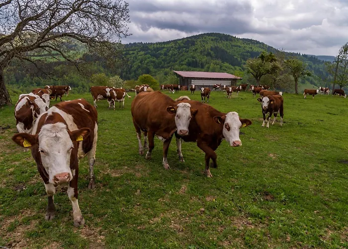 Schwarzwaldliebe アパート *